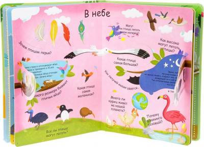 Волшебные окошки. Животные с доставкой по Минску от 70 рублей бесплатно!